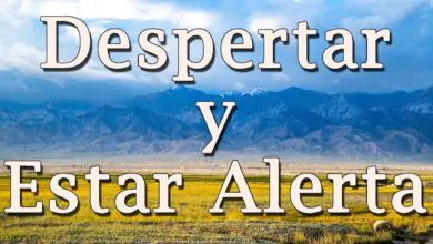 Kryon – “Despertar y Estar Alerta” – 2021