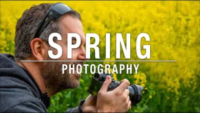 Spring Photography Ideas