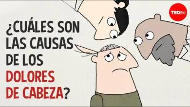 ¿Cuáles son las causas de los dolores de cabeza? – Dan Kwartler