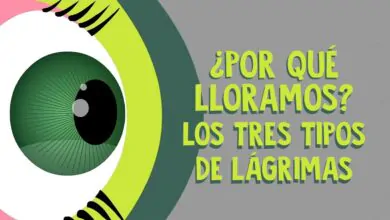 ¿Por qué lloramos? Los tres tipos de lágrimas – Alex Gendler