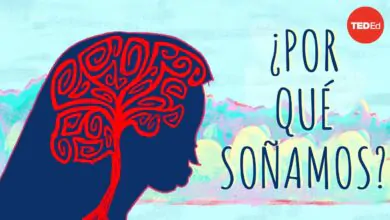¿Por qué soñamos? – Amy Adkins