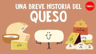 Una breve historia del queso – Paul S. Kindstedt