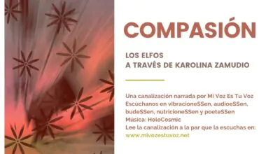 COMPASIÓN | Un mensaje de los elfos a través de Karolina Zamudio