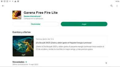 ¿QUE ES Y CUANDO SE PUEDE DESCARGAR FREE FIRE LITE? UN APK