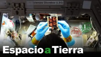 Espacio a Tierra: Pérdida de músculo: 20 de agosto de 2021
