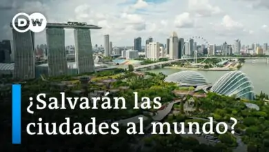 La carrera contra el cambio climático y por una vida urbana sostenible | DW Documental